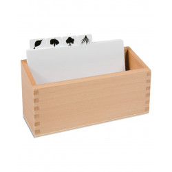 BOTANY PUZZLE: COPY MASTERS BOX BOTANY PUZZLE: COPY MASTERS BOX