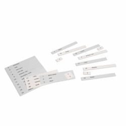 NAME CARDS: FIRST SET OF BOTANY CARDS, ENGLISH NAME CARDS: FIRST SET OF BOTANY CARDS, ENGLISH