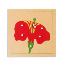 BOTANY PUZZLE: FLOWER BOTANY PUZZLE: FLOWER