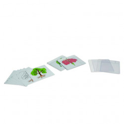 FIRST SET OF BOTANY CARDS FIRST SET OF BOTANY CARDS