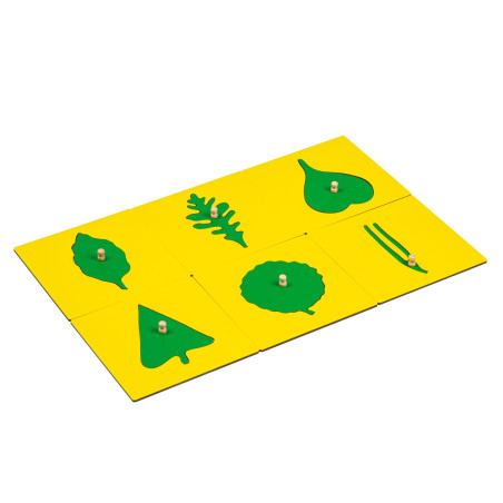 LEAF SHAPES INSETS FOR THE BOTANY CABINET