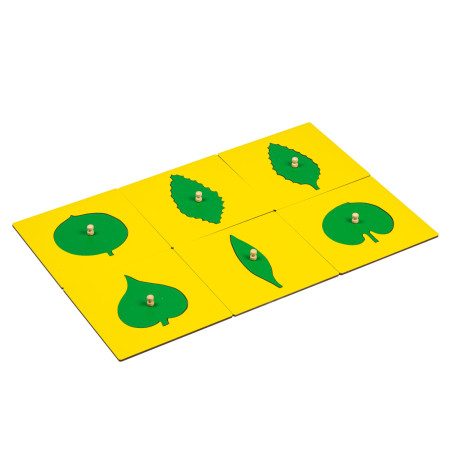 LEAF SHAPES INSETS FOR THE BOTANY CABINET