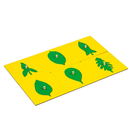 LEAF SHAPES INSETS FOR THE BOTANY CABINET