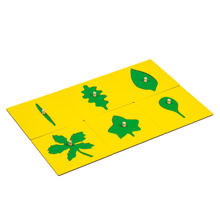 LEAF SHAPES INSETS FOR THE BOTANY CABINET