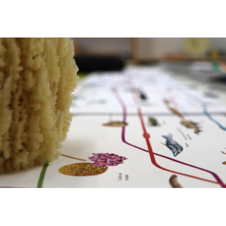 TIMELINE OF LIFE - WORKING (WITH CARDS)