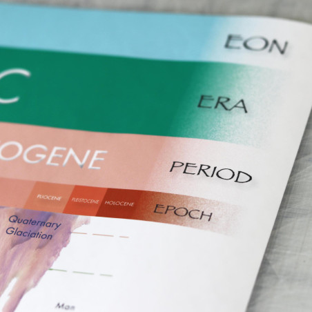 STRISCIA DELL'EVOLUZIONE DELLA VITA SULLA TERRA (TESTO IN INGLESE)