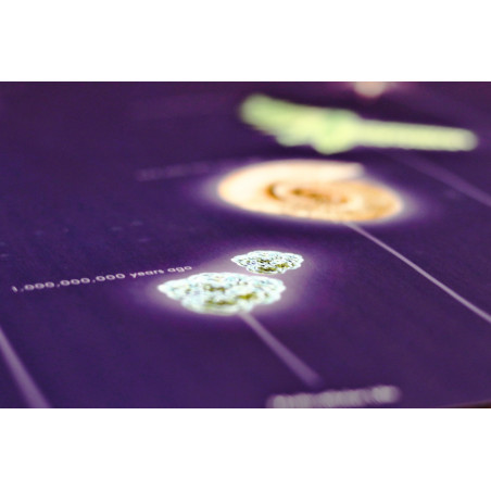 STRISCIA DELLE ERE (TESTO IN INGLESE)