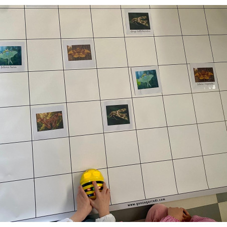 Montessori, robotica narrativa e pensiero logico-procedurale