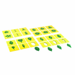 INCASTRI DELLE FORME DELLE FOGLIE PER IL COFANETTO DELLA BOTANICA INCASTRI DELLE FORME DELLE FOGLIE PER IL COFANETTO DELLA BOTANICA