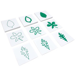 CARTELLINI DELLE FORME DELLE FOGLIE CARTELLINI DELLE FORME DELLE FOGLIE