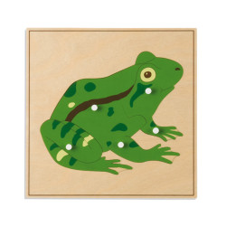 PUZZLE DEGLI ANIMALI: RANA PUZZLE DEGLI ANIMALI: RANA