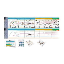 TIMELINE OF LIFE - WORKING (WITH CARDS) TIMELINE OF LIFE - WORKING (WITH CARDS)