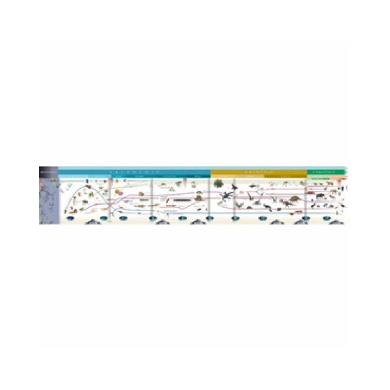 Erin Moriartys Evolution Before After A Complete Timeline - tecy3wm