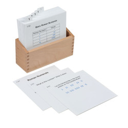 HUNDRED BOARD WITH ROMAN NUMBERS ACTIVITY SET HUNDRED BOARD WITH ROMAN NUMBERS ACTIVITY SET