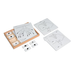 BOTANY PUZZLE ACTIVITY SET BOTANY PUZZLE ACTIVITY SET