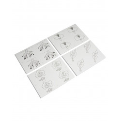 BOTANY PUZZLE: COPY MASTERS BOTANY PUZZLE: COPY MASTERS