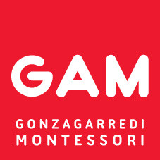 Gonzagarredi.com